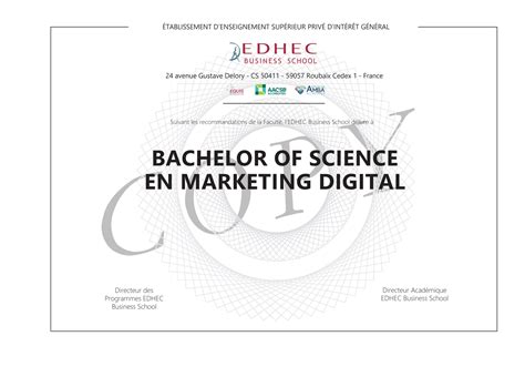 BSc Digital Marketing à distance .